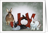 Season’s Greetings Bunny Joy card