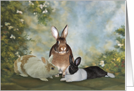 Bunnies Celebrating Eastser card