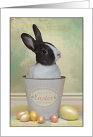 Happy Easter Bunny In a Bucket card