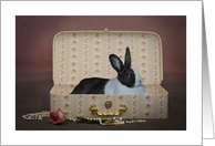 Easter Bunny Lounging In A Pretty Box card
