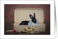 Mother’s Day Bunny Lounging In A Pretty Box card