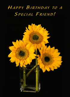 For a Special Friend...