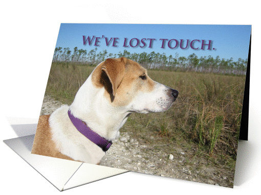 Missing You. We've Lost Touch. card (1131116)