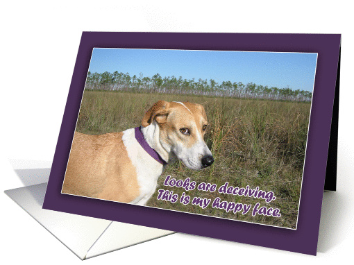 Apology - Sorry. Sad Dog Face card (1131118)