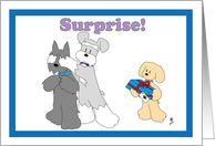 A poodle and a schnauzer surprises a scottie on its birthday card