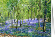 Get Well Feel Better - The Bluebell Fairy Woodland Painting card