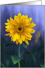 Summer Sunflower Blank Note card