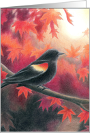 Redwing’s Fall Blank Note card