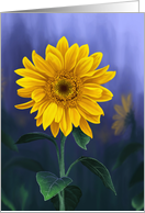 Summer Sunflower...