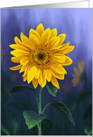 Summer Sunflower Birthday card