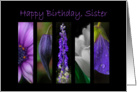 Floral Montage Happy Birthday Sister Card