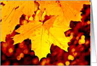 Autumn Colours Blank Card