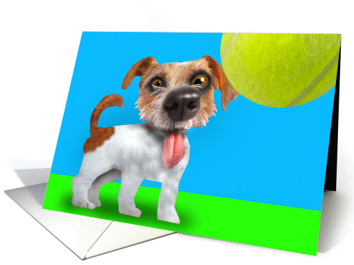 Jack Russell Terrier Playtime Tennis Ball blank note card (1087354)