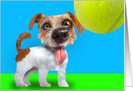 Jack Russell Terrier Playtime Tennis Ball blank note card