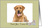 Bones and Paw, Thank You Dog Trainer Custom Photo card