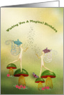 Magical Birthday with Fairies card
