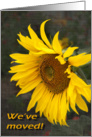 Bright Sunny Sunflower - Moving Announcement card