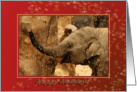 Little Elephant Stars Shower - Happy Holidays Red card