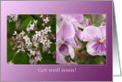 Purple Harmony Violets Lilacs Flowers - Get well soon card