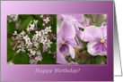 Purple Harmony of Violets Lilacs Flowers - Happy Birthday card