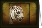 White Tiger Visionary - animals wildlife fine art Blank Note card