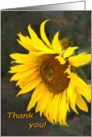 Bright Sunny Sunflower - Thank You Summer Volunteers card