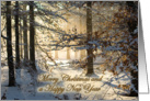 Light filtering through snowy woods - Merry Christmas Happy New Year card