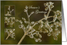 Crystal Elegance - Frozen grass halm macro Season’s Greetings card