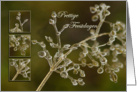 Crystal Elegance of frozen grass - Prettige Feestdagen Happy Holidays card
