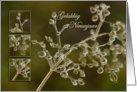 Crystal Elegance of frozen grass - Gelukkig Nieuwjaar Happy New Year card