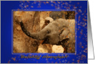 Little Elephant Stars Shower - Gelukkig Nieuwjaar Happy New Year card