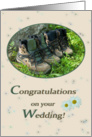 Hiking shoes and daisies in buck - Wedding Congrats Hiking card