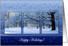 Reaching Far Winter Tree - Happy Holidays Christmas New Year card