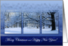 Reaching Far Winter Tree - Happy Holidays Christmas New Year card