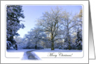 Path through Winter Wonderland - Merry Christmas Holidays trees snow card
