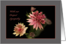 Astrantia raindrops pink grey - Flowers Deepest Sympathy Condolences card