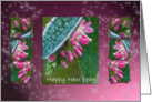 Hebe Pink Ice Crystals - Winter Flowers Happy New Year Holidays card