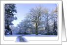 Path through Winter Wonderland - Snow trees woods blank note card