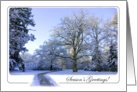 Path through Winter Wonderland - Season’s Greetings Happy Holidays card