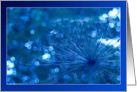 Sparkling blue imagination - flowers plants blank note card