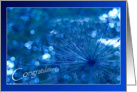 Congratulations Sparkling Blue Imagination - flowers plants natural card