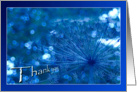 Thank you - Sparkling blue Imagination - natural abstract card