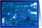 Dank je wel - Thank you Dutch Nederlands - Sparkling blue Imagination card