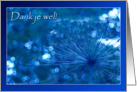 Dank je wel - Thank you Dutch Nederlands - Sparkling blue Imagination card