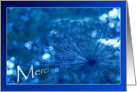 Merci - Thank you French Franais - Sparkling Blue Imagination card