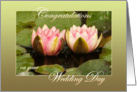 Two pink water lilies close together - Green Border - Wedding Congrats card