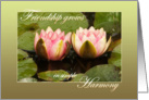 Two pink water lilies close together, opening up - Friendship Harmony card