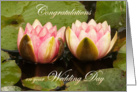 Two pink water lilies close together - Wedding Congrats card