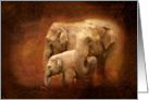 Three generations - Elephants wildlife blank note card