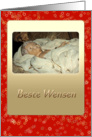 Baby Jesus in manger - Beste Wensen Best Wishes Holidays Dutch card